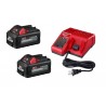 Kit Milwaukee 2 baterías 6.0 y cargador M18/M12 48-59-1862S